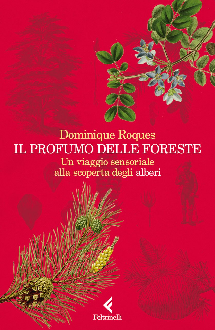 Il profumo delle foreste. Un viaggio sensoriale alla scoperta degli …
