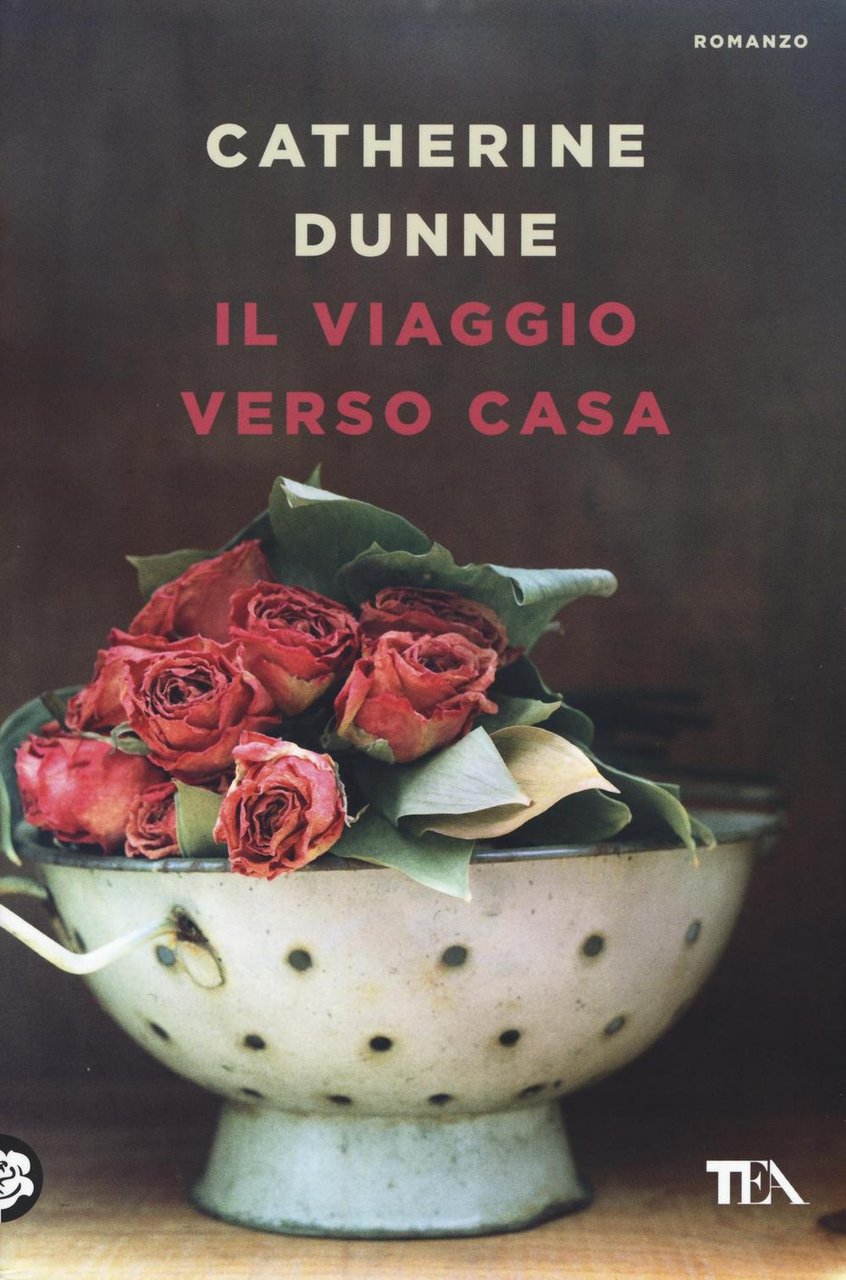 Il viaggio verso casa | Immagine principale