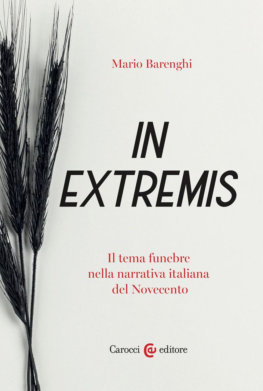 In extremis. Il tema funebre nella narrativa italiana del Novecento | Immagine principale