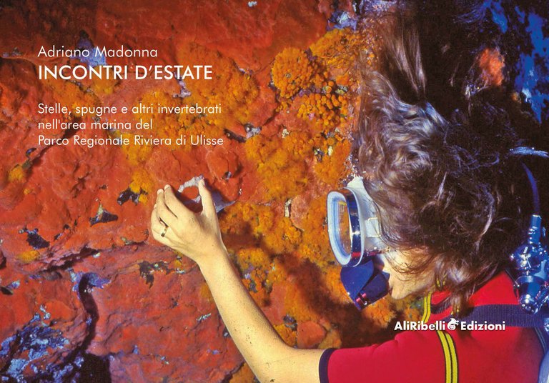 Incontri d'estate: stelle, spugne e altri invertebrati nell'area marina del Parco Regionale Riviera di Ulisse. Ediz. a colori
