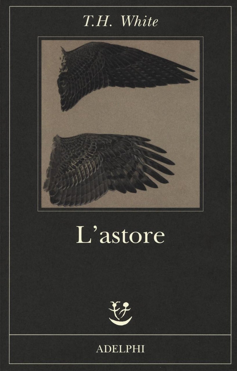 L'astore | Immagine principale