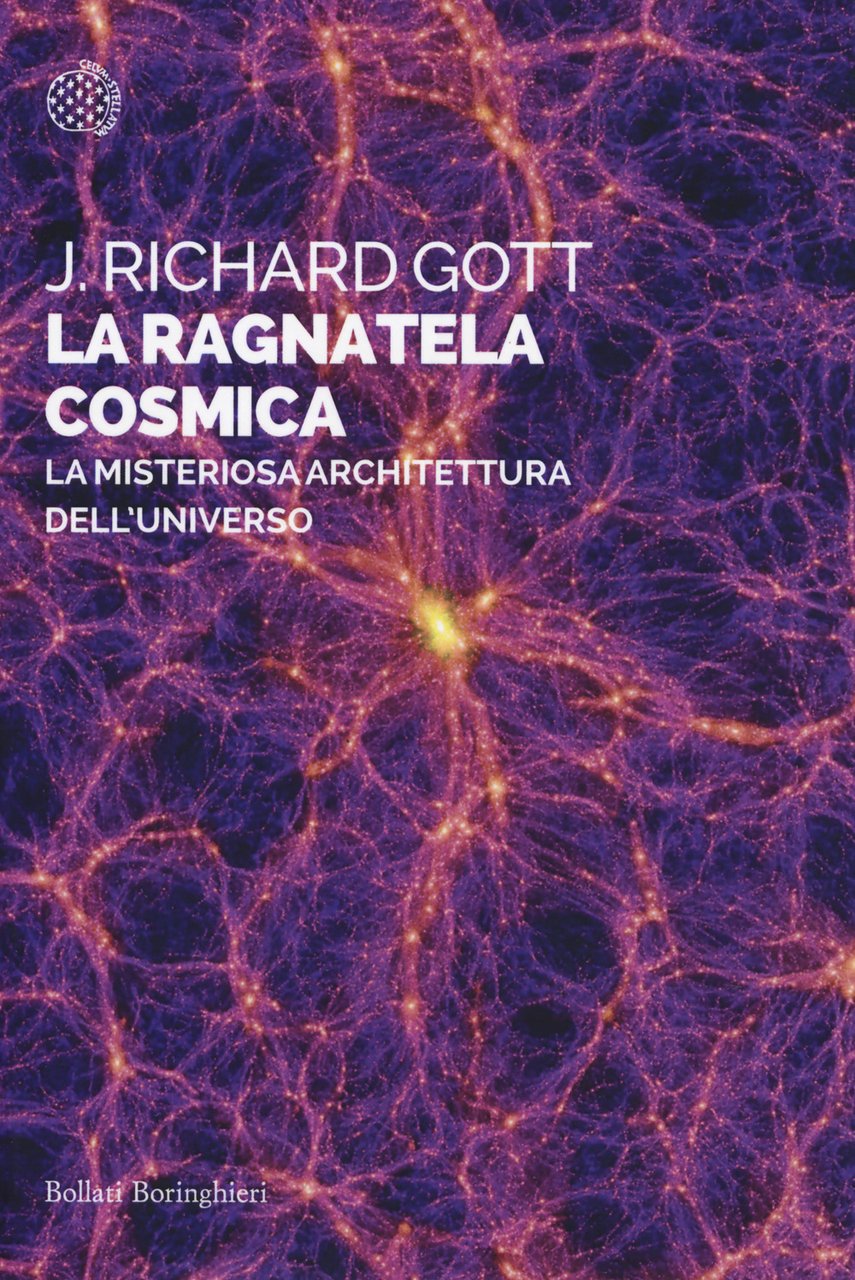 La ragnatela cosmica. La misteriosa architettura dell'universo