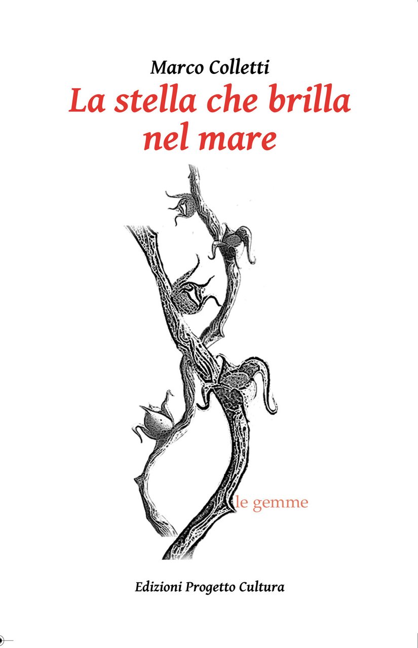 La stella che brilla nel mare | Immagine principale