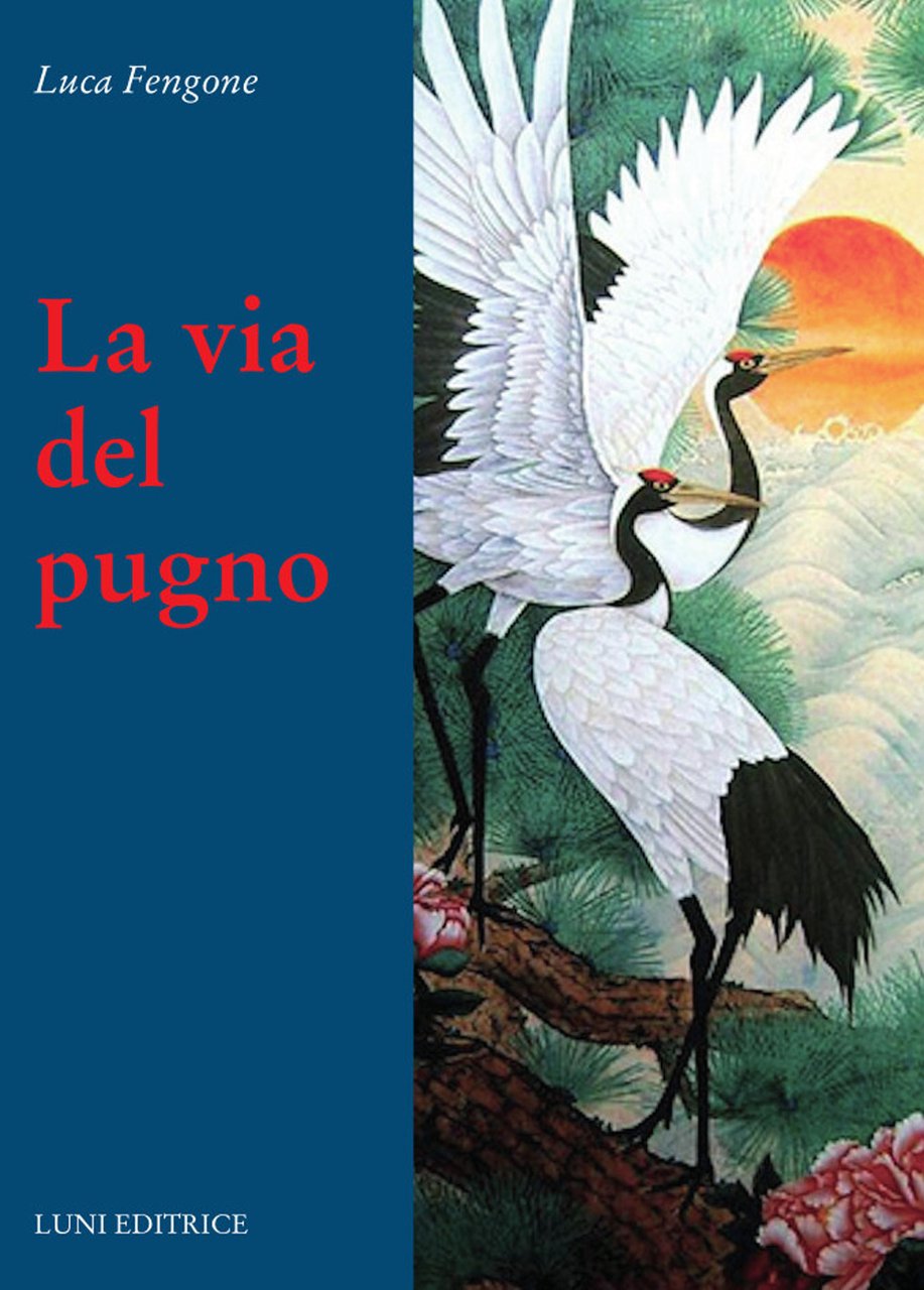 La via del pugno | Immagine principale