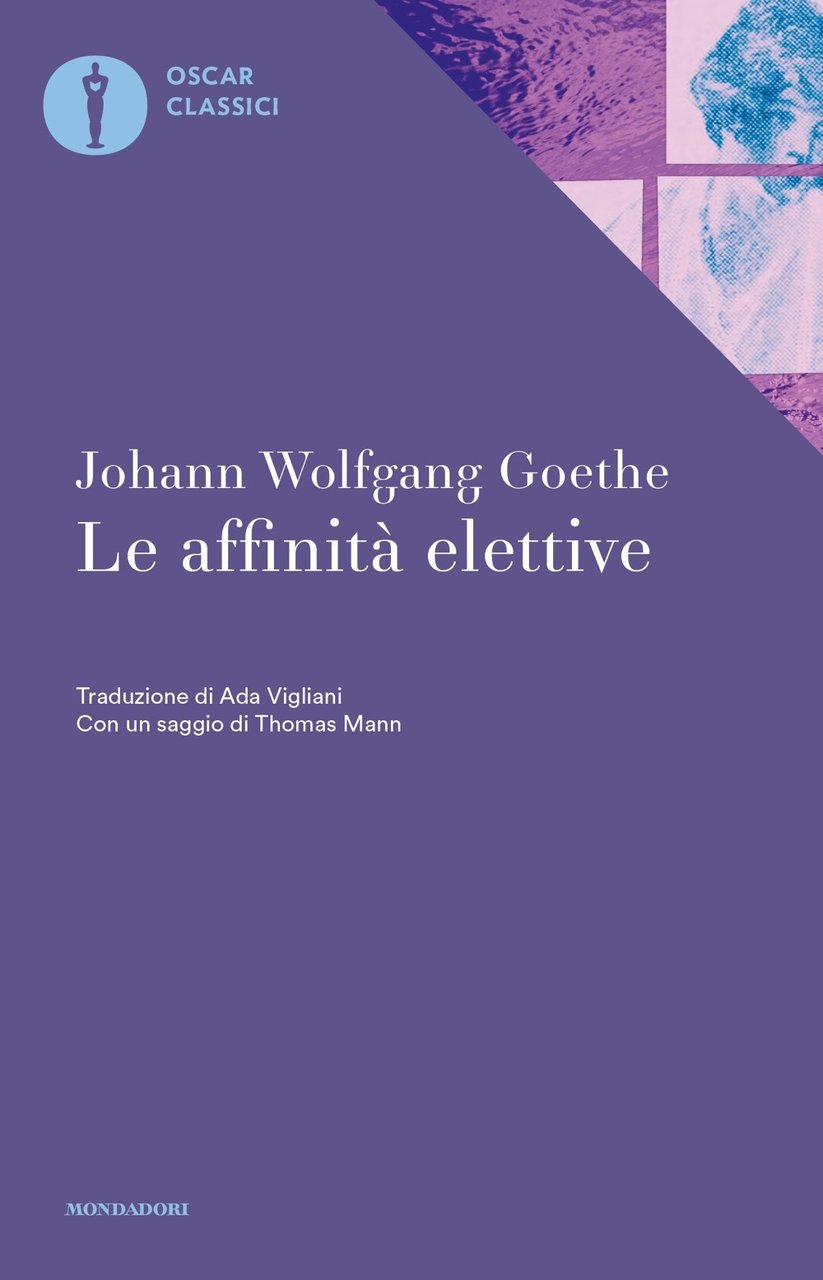 Le affinità elettive | Immagine principale