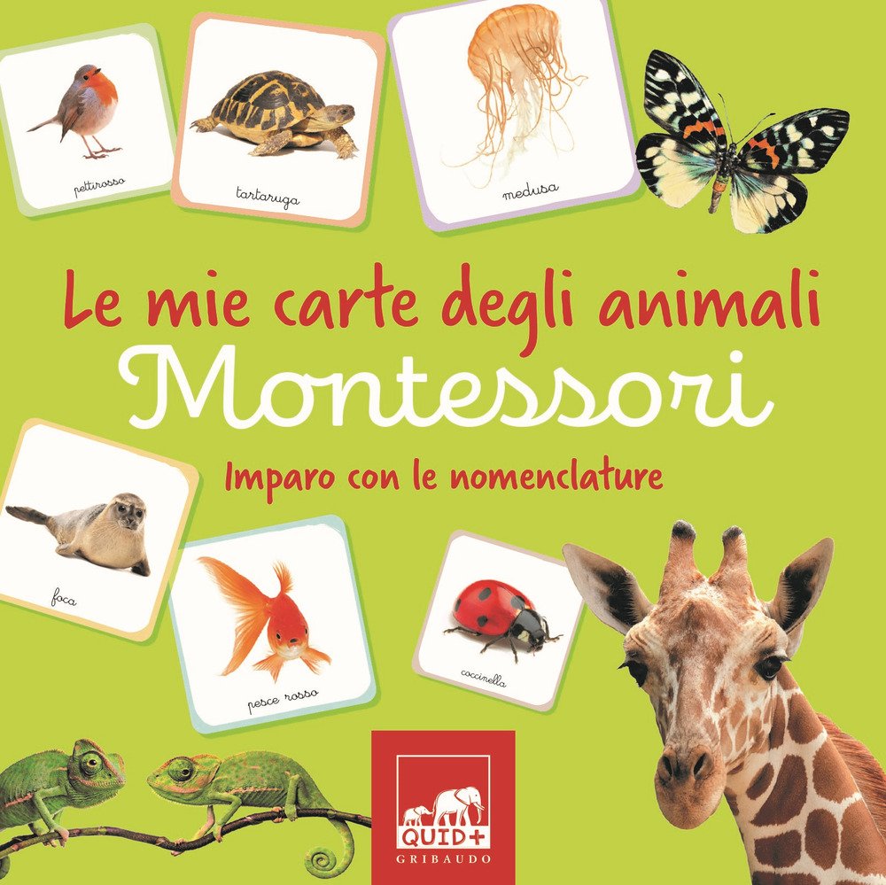 Le mie carte degli animali Montessori. Imparo con le nomenclature. … | Immagine principale