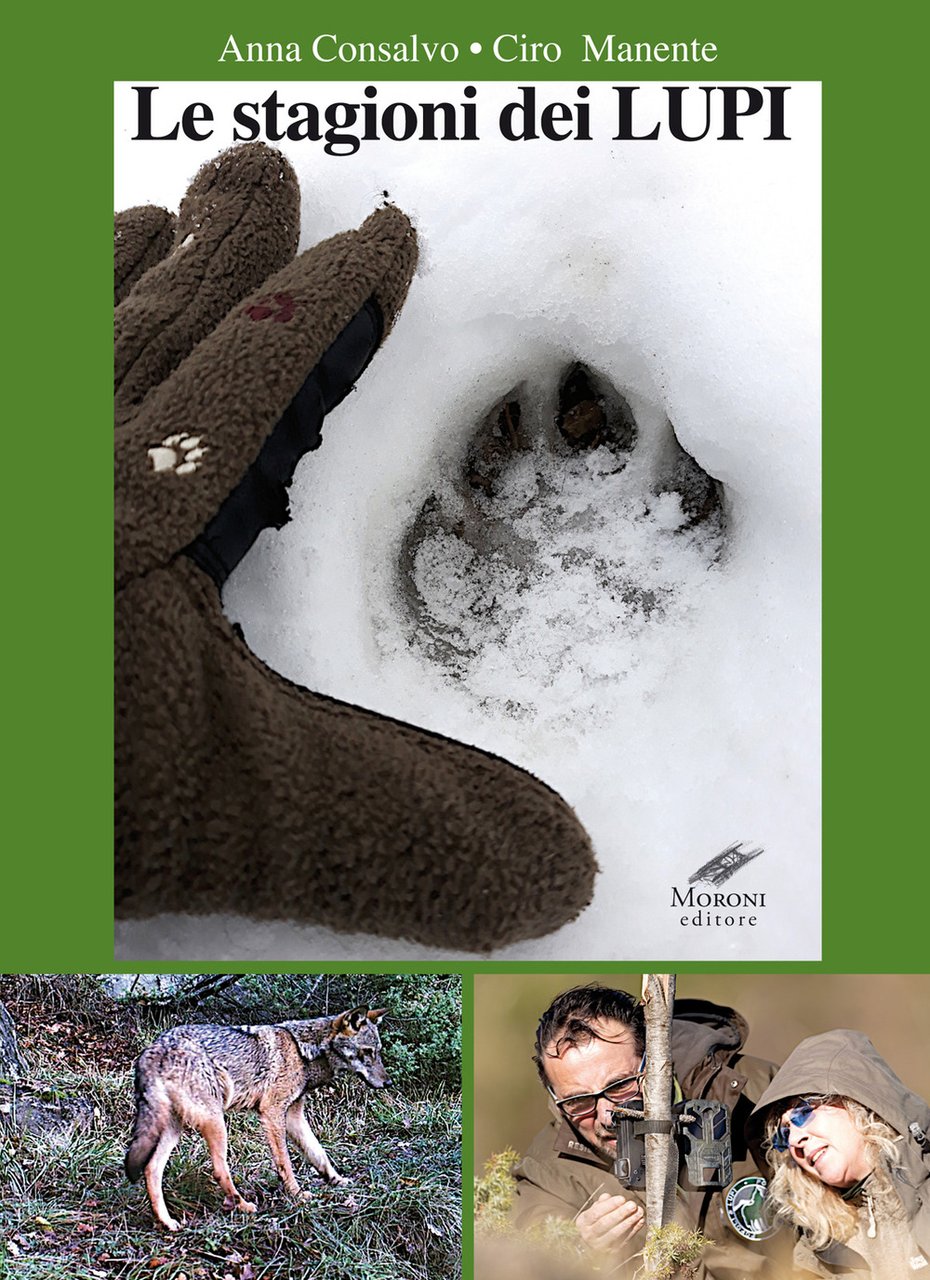 Le stagioni dei lupi | Immagine principale