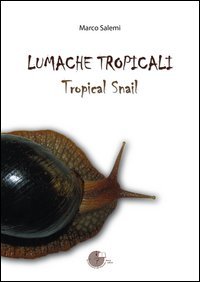 Lumache tropicali. Tropical snail | Immagine principale