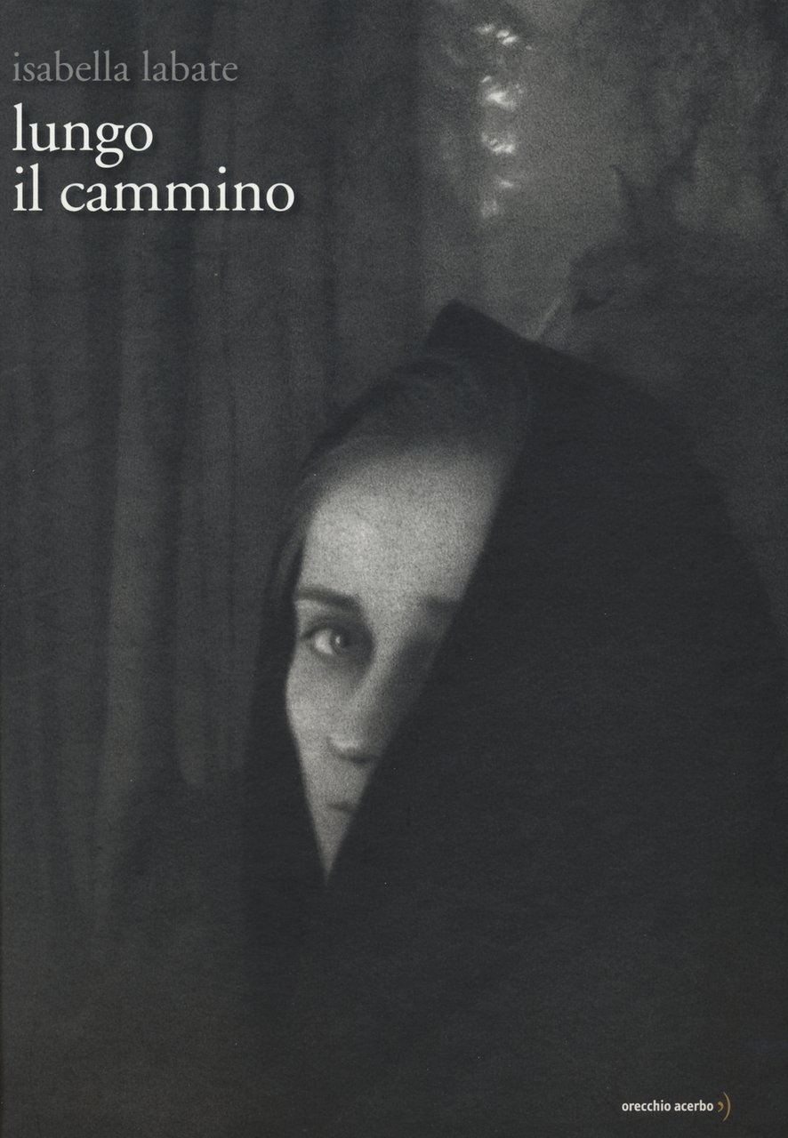 Lungo il cammino. Ediz. illustrata | Immagine principale