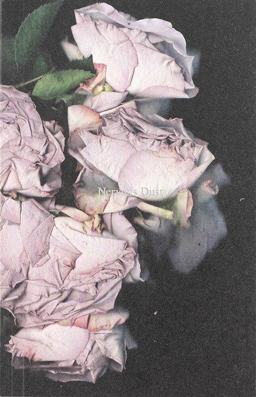 Martin Maeller: Nervous Dust | Immagine principale