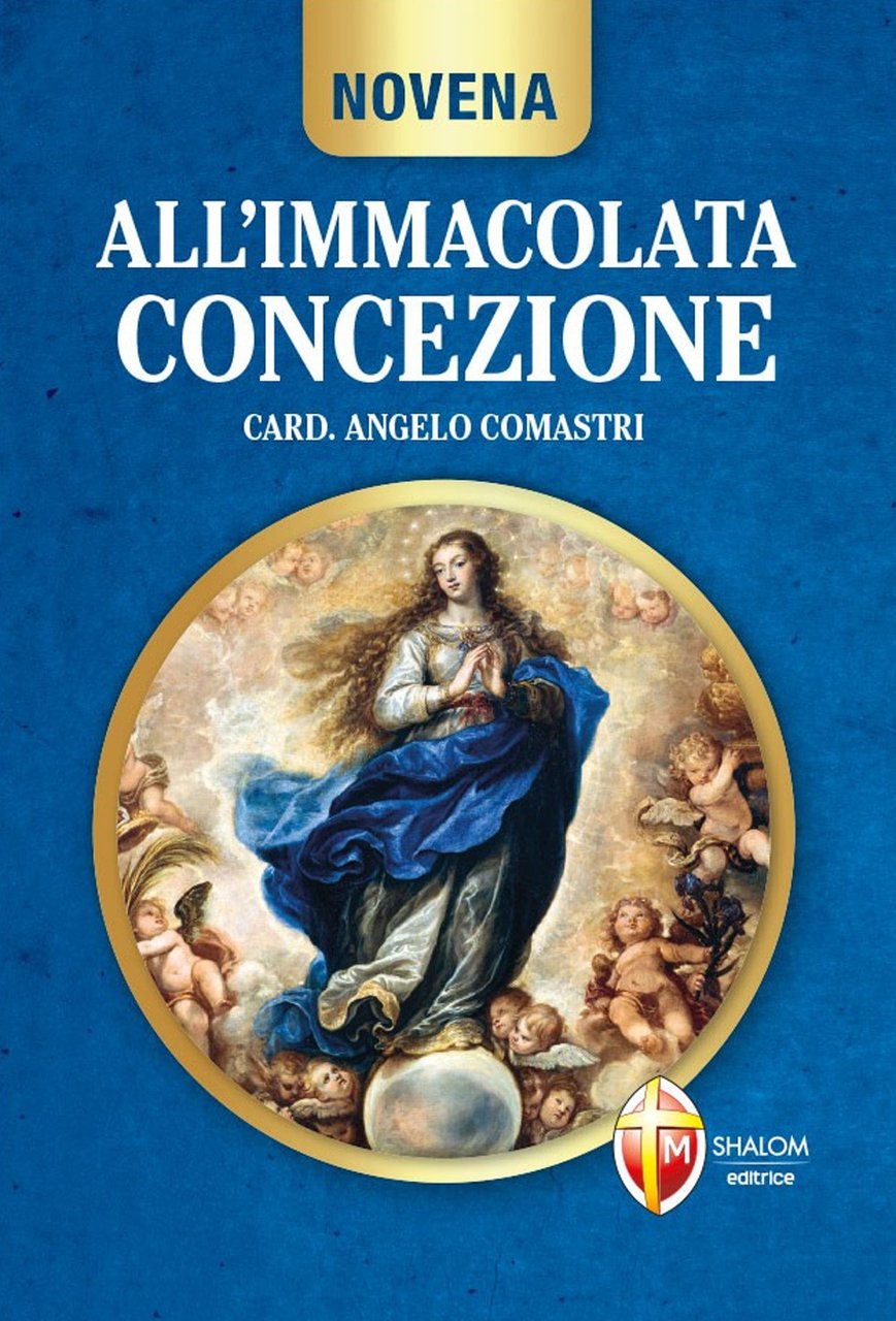 Novena all'Immacolata Concezione | Immagine principale