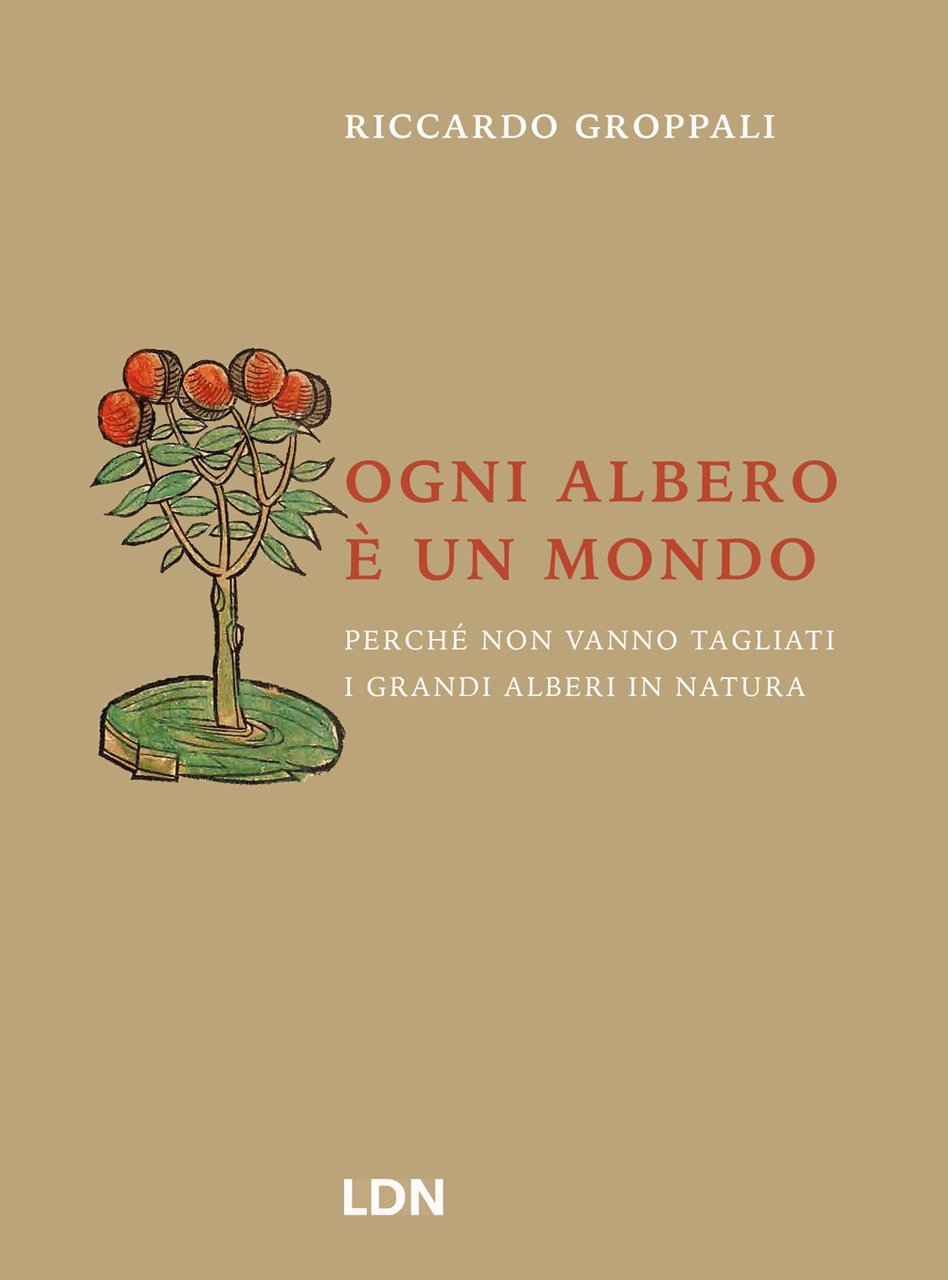 Ogni albero è un mondo. Perché non vanno tagliati i …