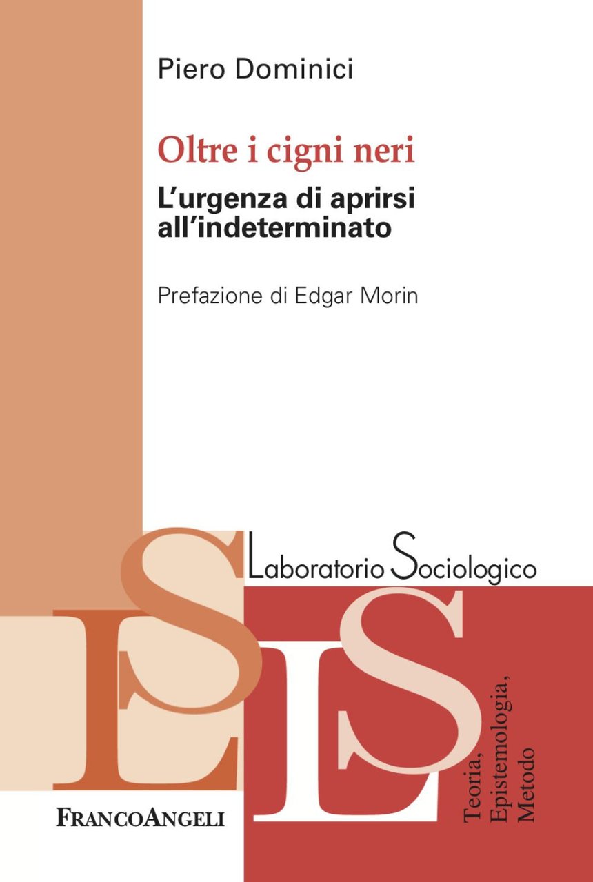 Oltre i cigni neri. L'urgenza di aprirsi all'indeterminato | Immagine principale