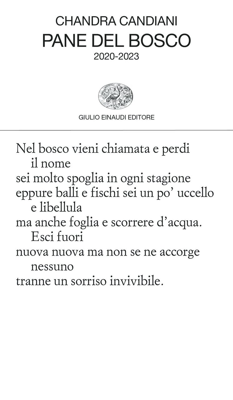 Pane del bosco. 2020-2023 | Immagine principale