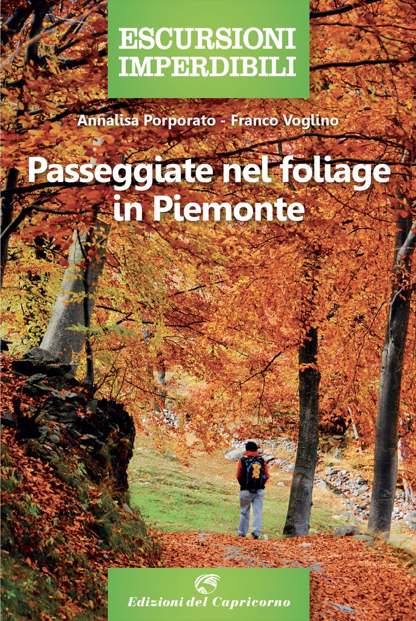 Passeggiate nel foliage in Piemonte | Immagine principale