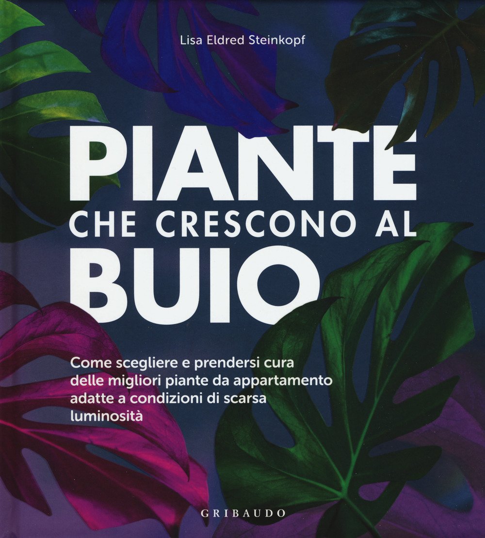 Piante che crescono al buio. Come scegliere e prendersi cura …