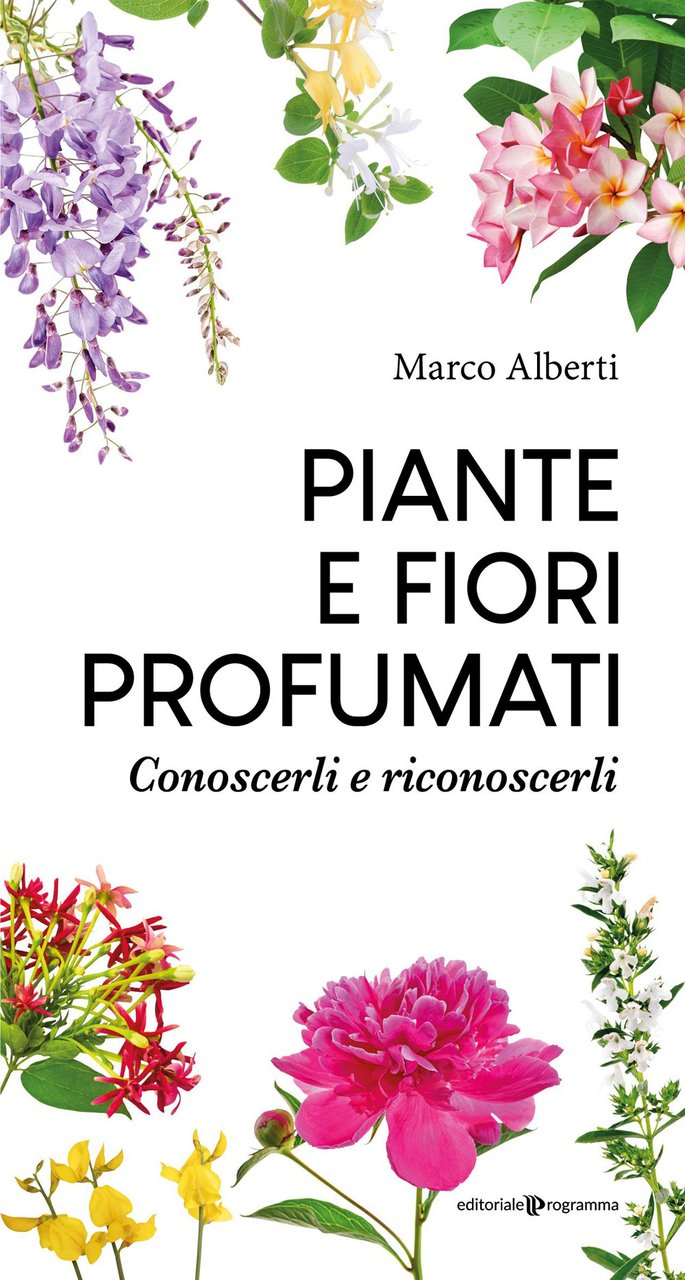 Piante e fiori profumati. Conoscerli e riconoscerli | Immagine principale