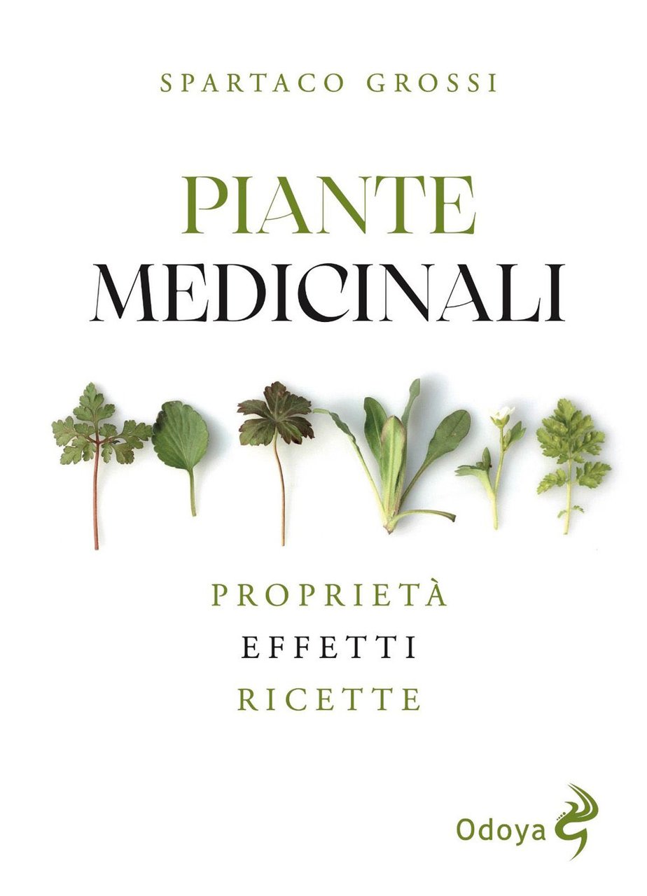 Piante medicinali. Proprietà, effetti, ricette | Immagine principale