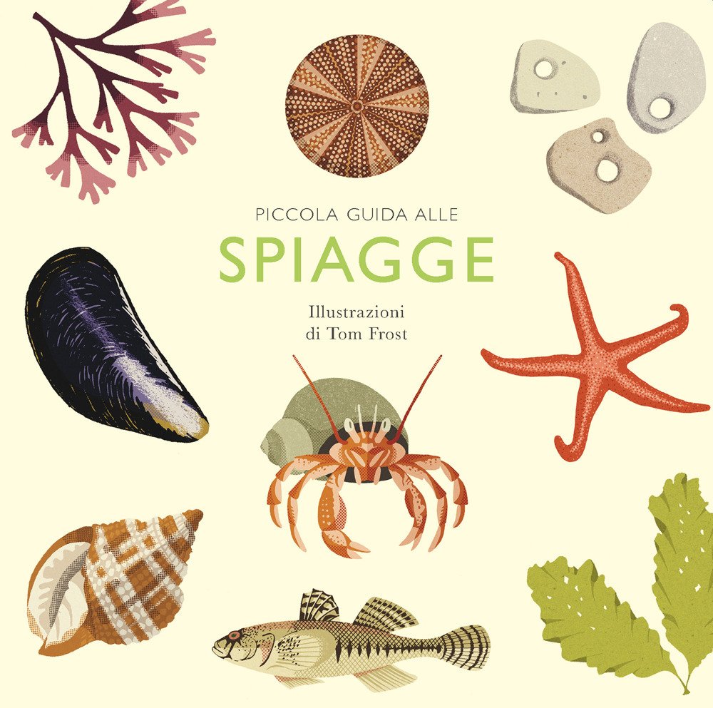 Piccola guida alle spiagge | Immagine principale
