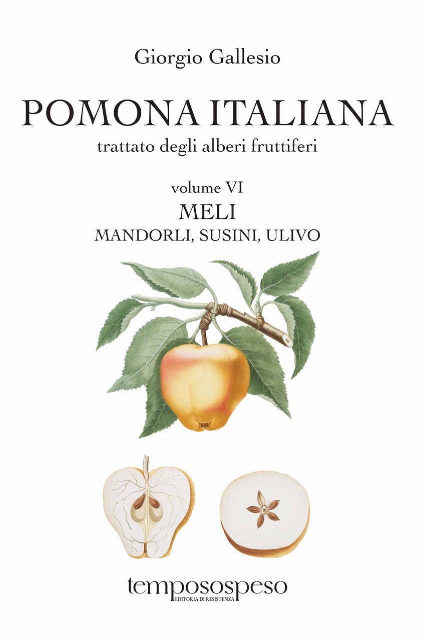 Pomona italiana ossia Trattato degli alberi fruttiferi. Vol. 6: Meli, …