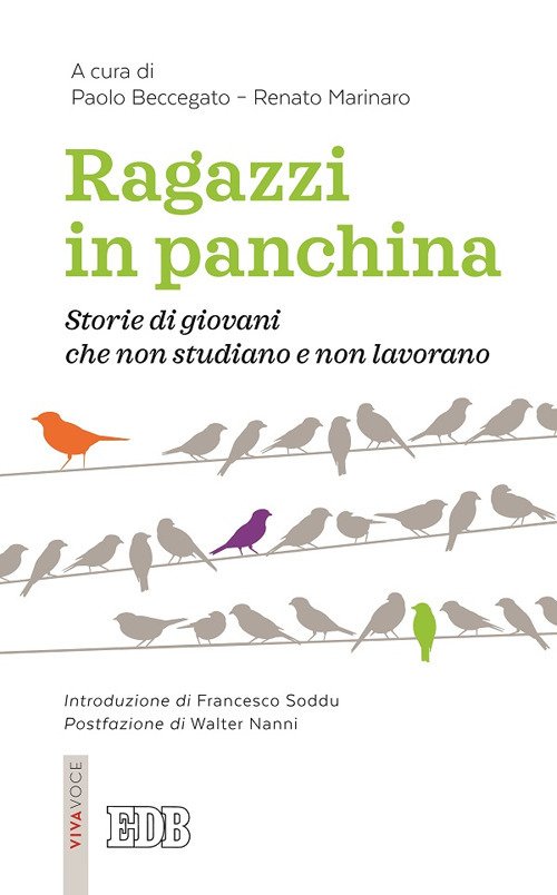 Ragazzi in panchina. Storie di giovani che non studiano e …