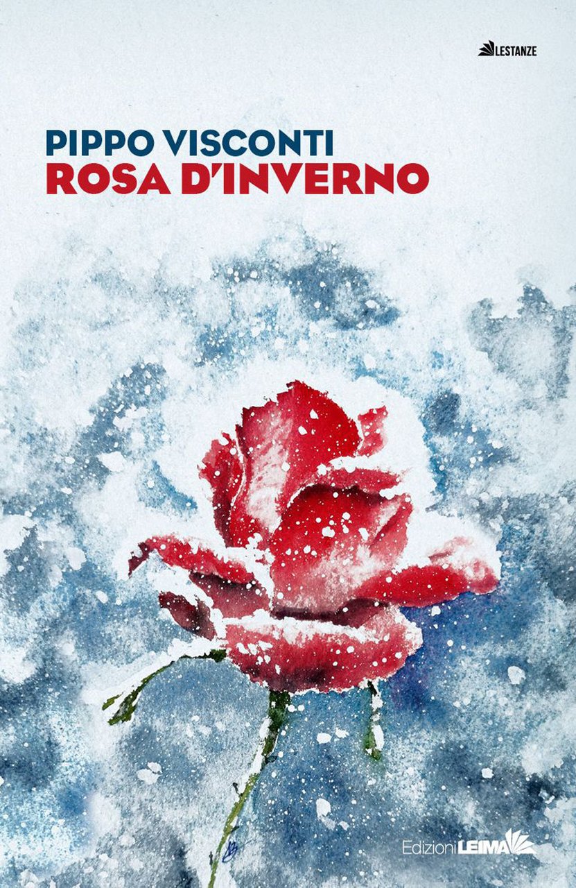 Rosa d'inverno