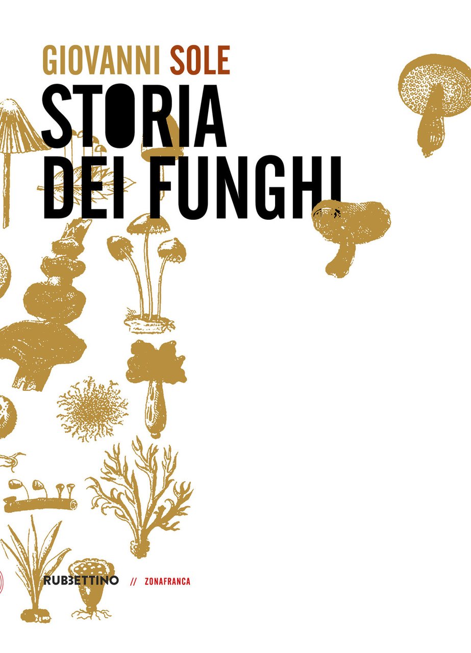 Storia dei funghi | Immagine principale