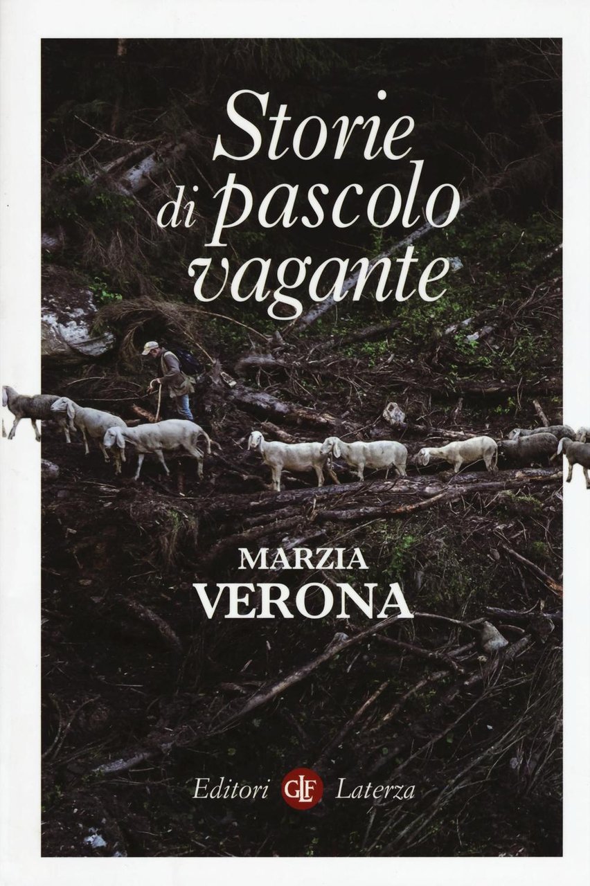 Storie di pascolo vagante | Immagine principale