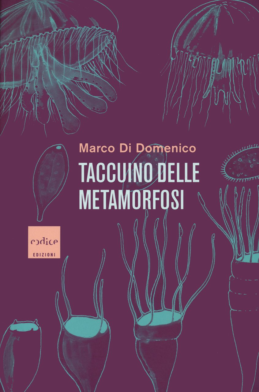 Taccuino delle metamorfosi | Immagine principale