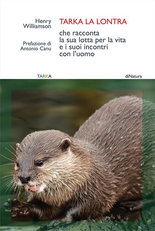 Tarka la lontra che racconta la sua lotta per la … | Immagine principale