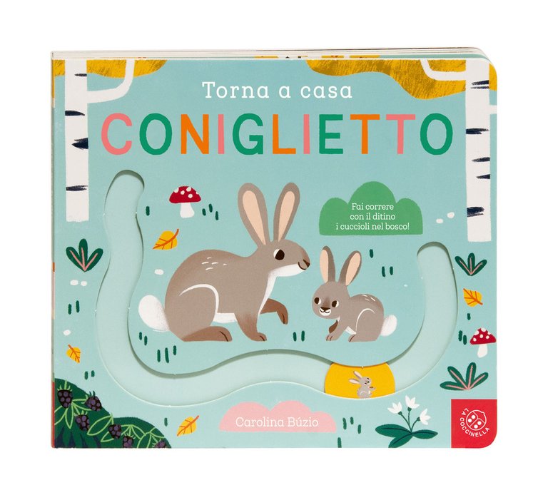 Torna a casa coniglietto. Ediz. a colori