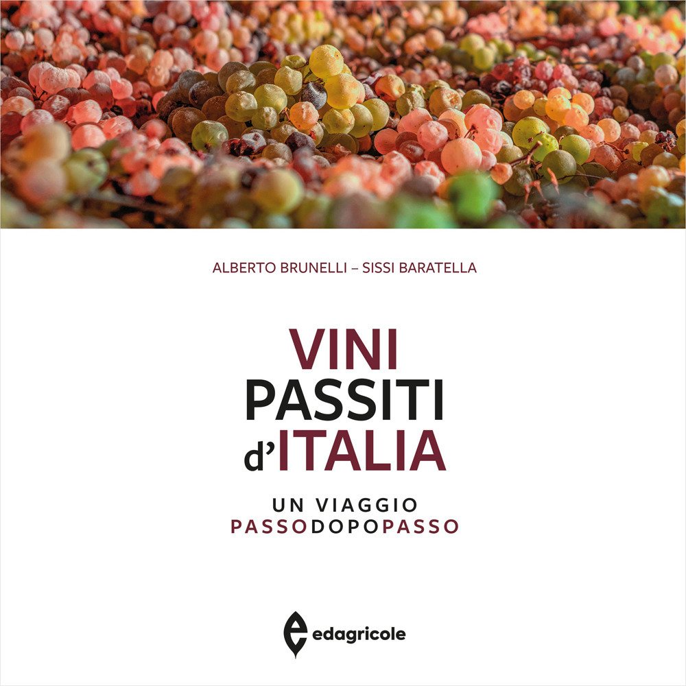 Vini passiti d'Italia. Un viaggio passo dopo passo. Ediz. illustrata | Immagine principale