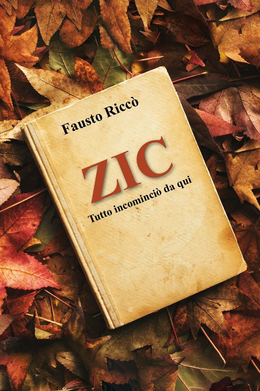 Zic. Tutto incominciò da quì | Immagine principale