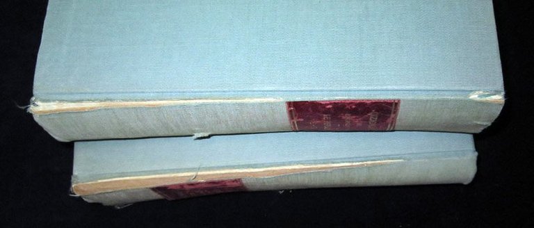 Dizionario del Risorgimento nazionale. Dalle origini a Roma capitale. Fatti …