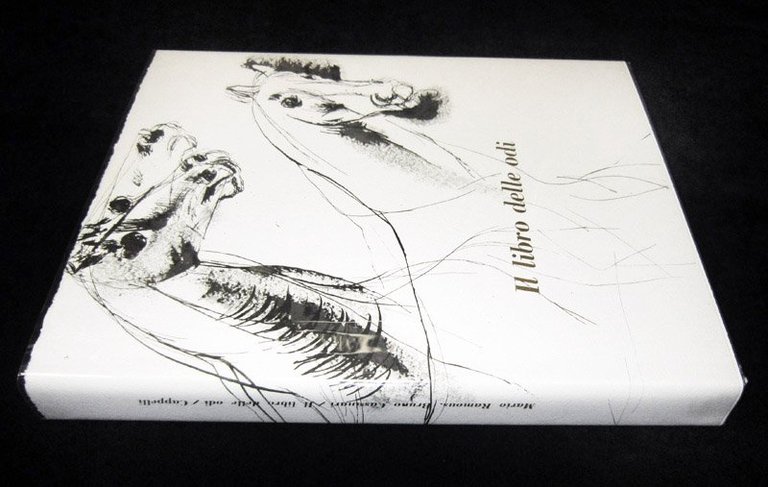 Il libro delle odi. Versioni da Orazio.