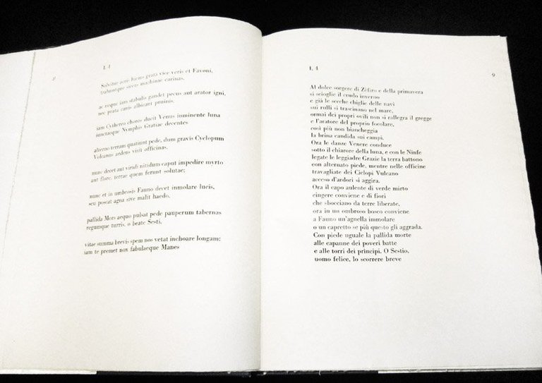 Il libro delle odi. Versioni da Orazio.