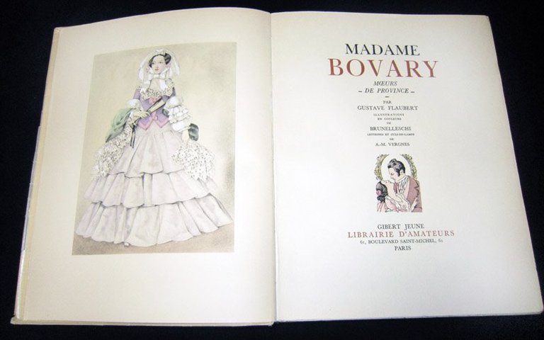 Madame Bovary. Moeurs de province