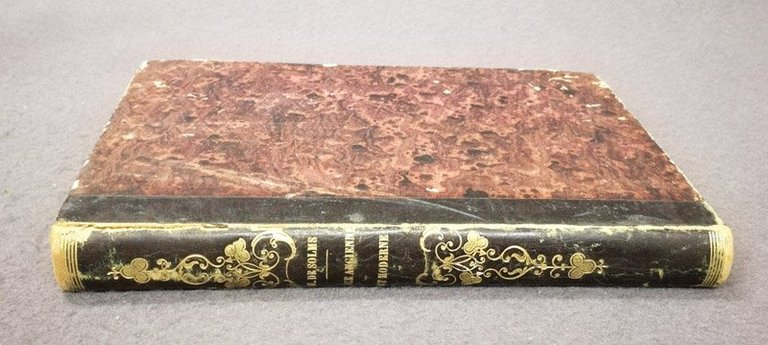 Nice ancienne et moderne