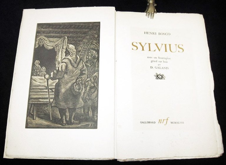 Sylvius