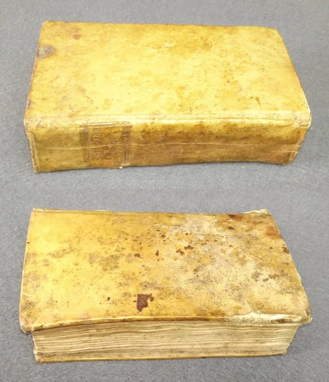 Voltaire fra l'ombre. Versione dell'Abate Nuvoletti.