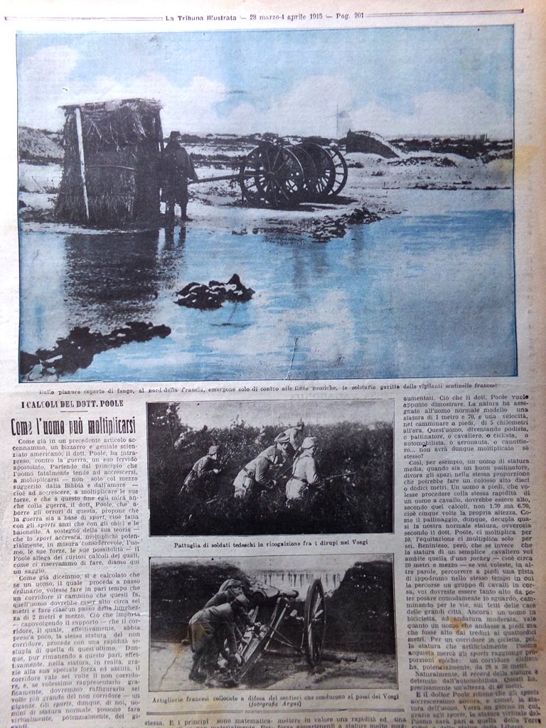 Articolo del 1915 WW1 Come l'uomo può moltiplicarsi Poole Nord …