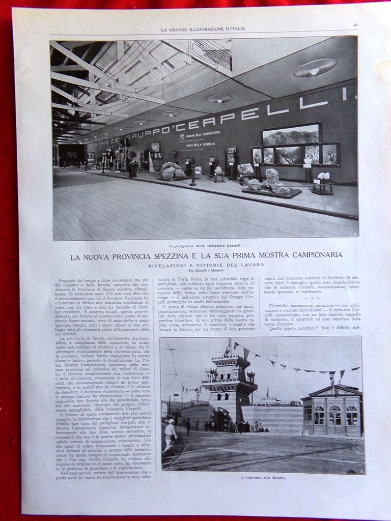 Articolo del 1925 Nuova Provincia Spezia Mostra Campionaria Cerpelli Scarpelli