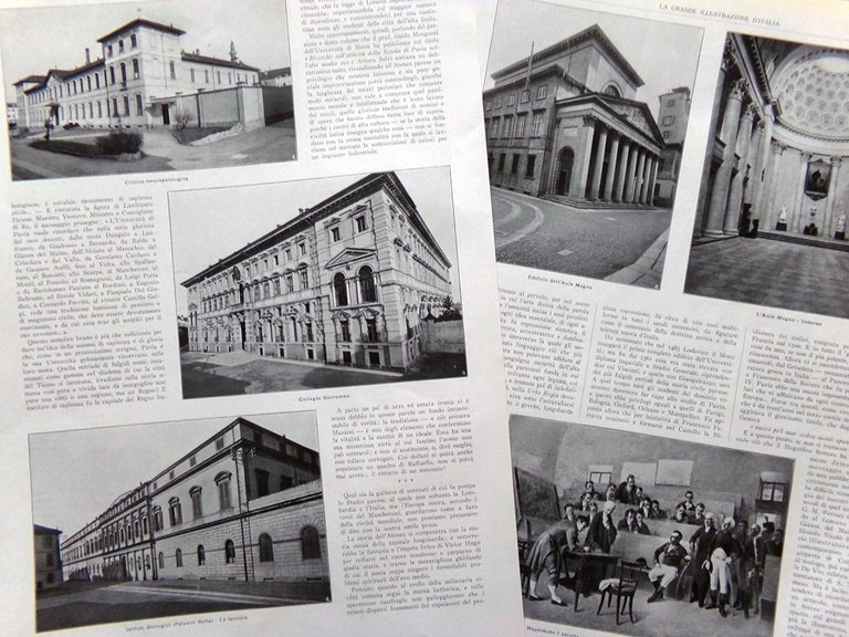 Articolo del 1925 Università di Pavia Istituto Collegio Clinica Solmi …