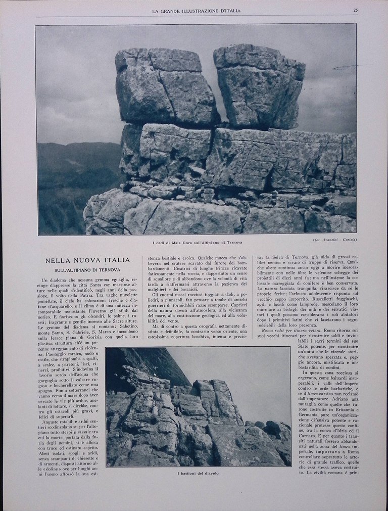 Articolo del 1927 Nuova Italia Altipiano Ternova Mala Gora Fungo …