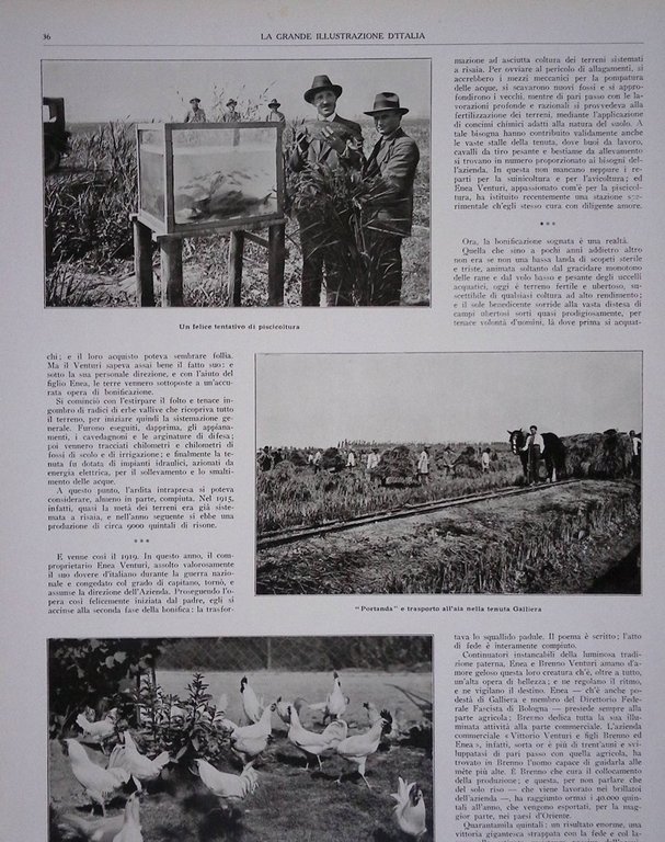 Articolo del 1927 Opera di Fede Azienda Agricola Brenno Venturi …