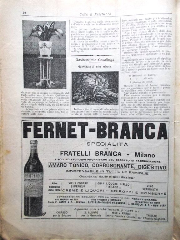 Casa e Famiglia del 25 Aprile 1909 Libro di Fate …
