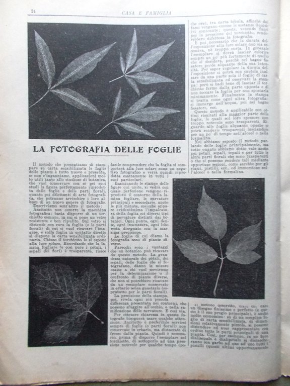 Casa e Famiglia del 4 Luglio 1909 Incendio di Lotz …