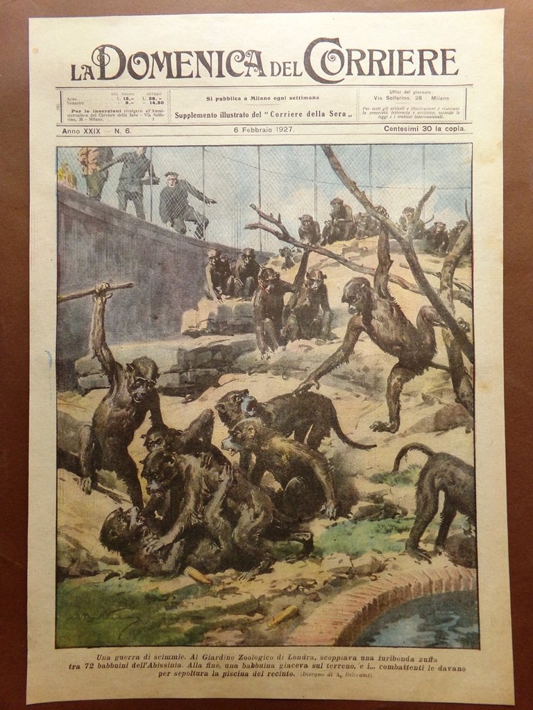 Copertina Domenica Corriere nr. 6 del 1927 Guerra Scimmie Zoo …