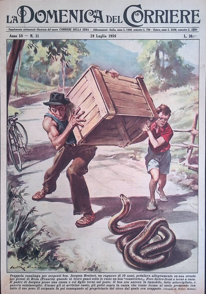 Copertina Domenica del Corriere nr. 31 del 1956 Boninot Boa …
