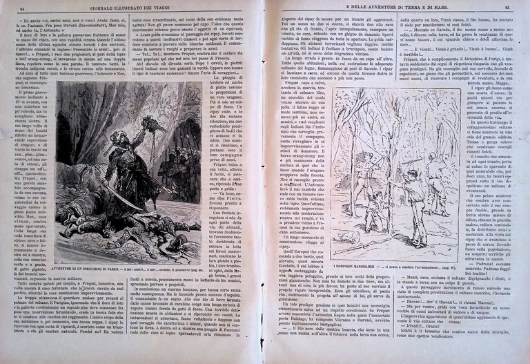 Giornale Illustrato dei Viaggi 13 Novembre 1884 Caccia Scimmia Bassa …